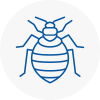 Bed Bug Extermination In Gateshead