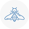 Bee Nest Removal Gateshead