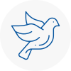 Bird Prevention Gateshead