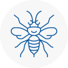 Gateshead Hornet Nest Removals