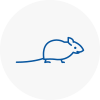 Mice Exterminators In Gateshead