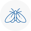 Moth Control Specialists In Gateshead