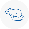 Rat Control Gateshead