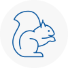 Gateshead Rodent Removals