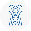 Gateshead Wasp Nest Removal